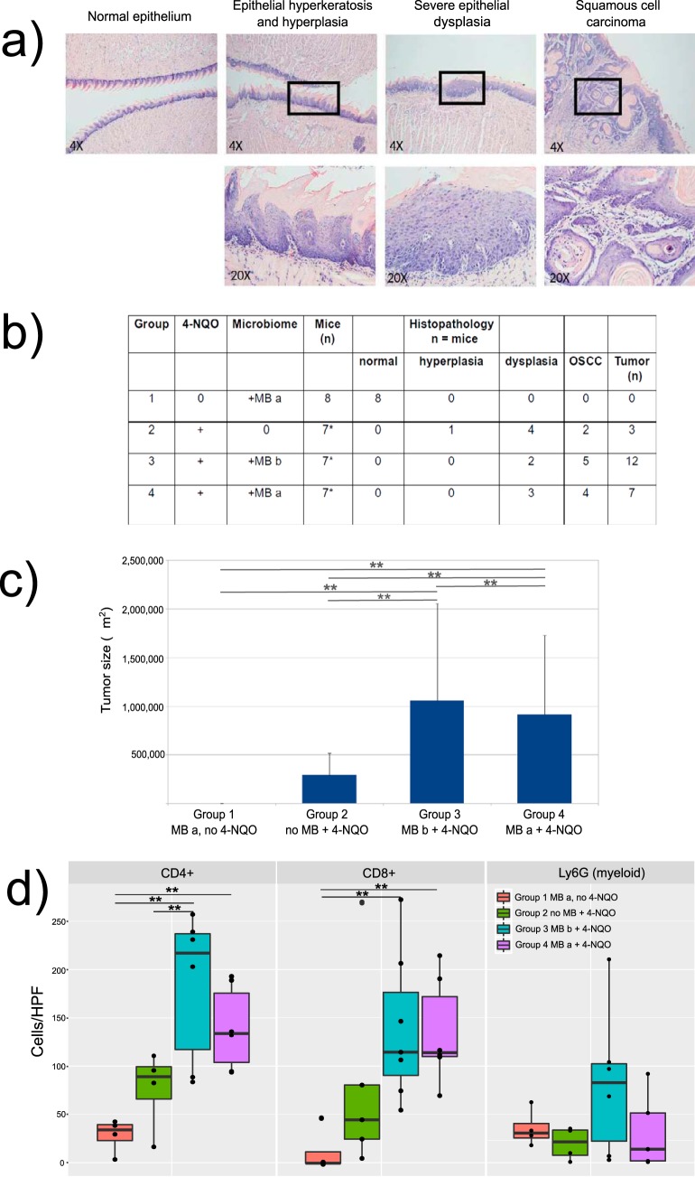 FIG 1