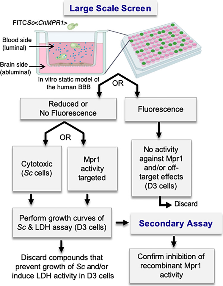 FIG 1