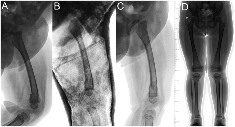 Figure 13