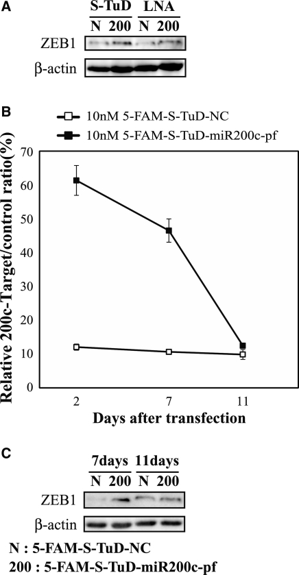 Figure 7.