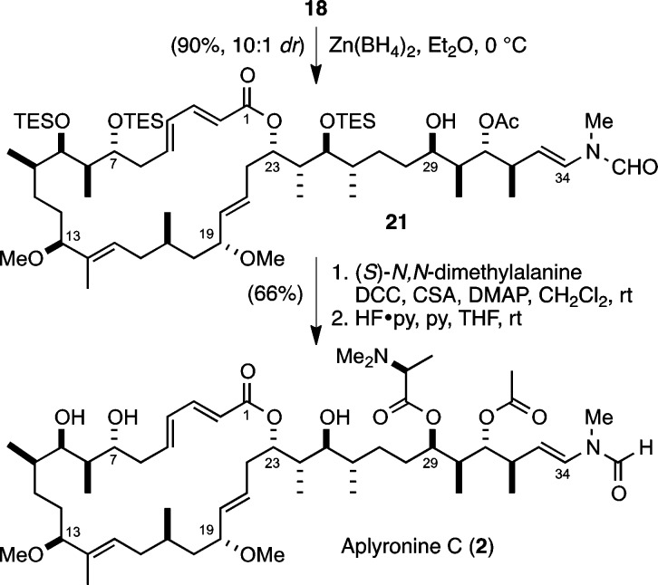 Scheme 6