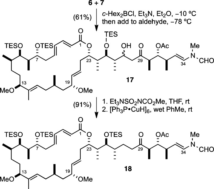 Scheme 5