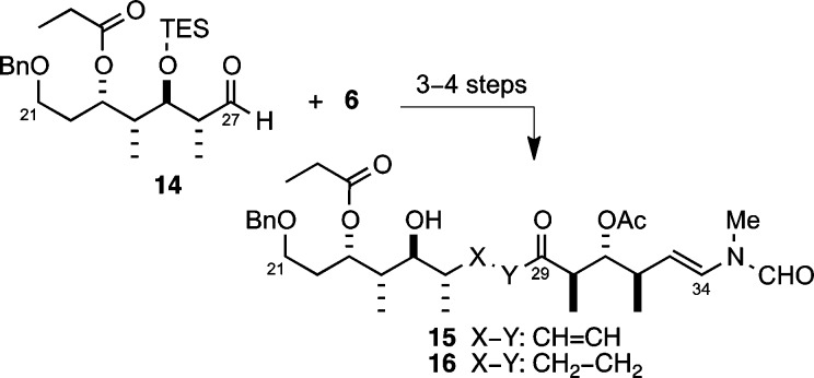 Scheme 4