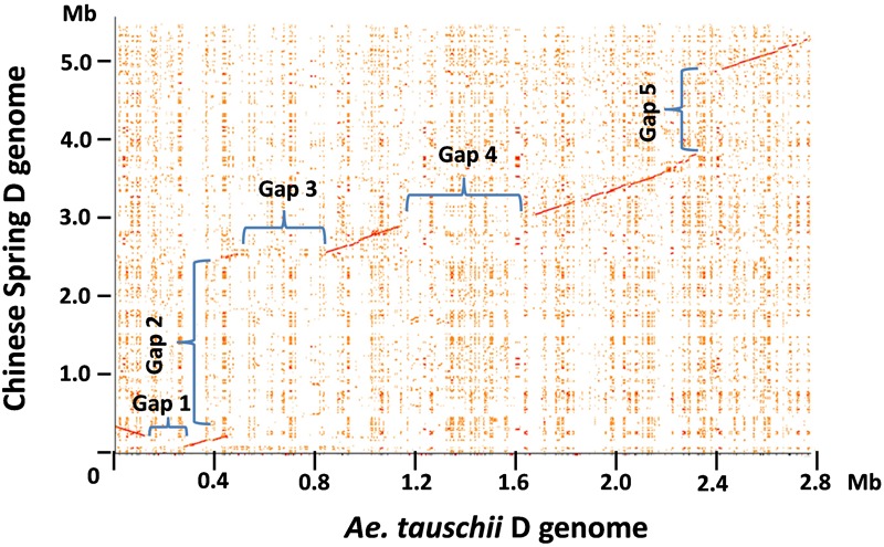 FIGURE 1