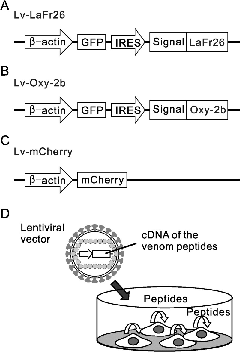 Fig 5