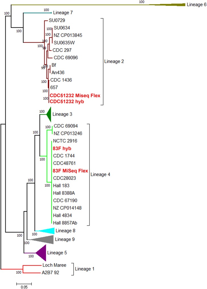 FIGURE 3