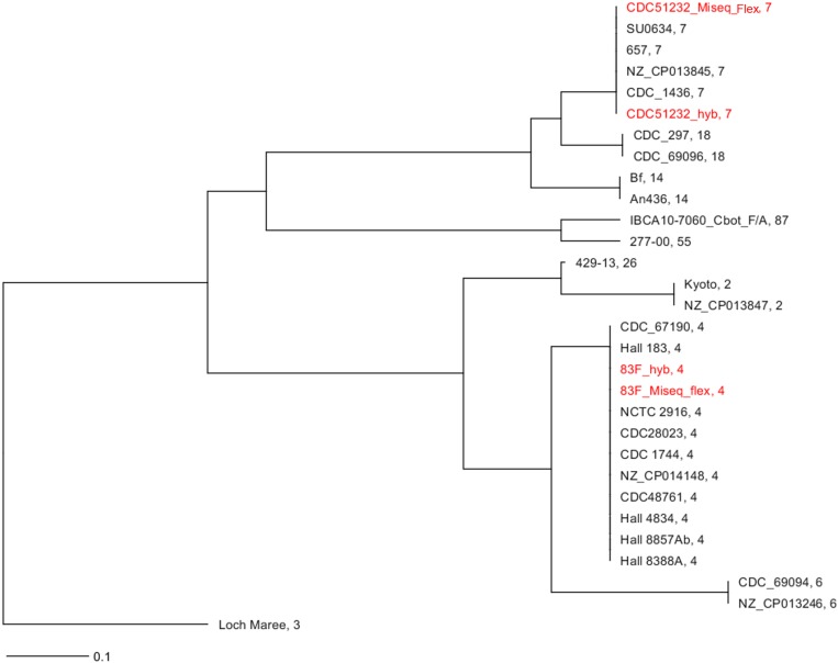 FIGURE 1