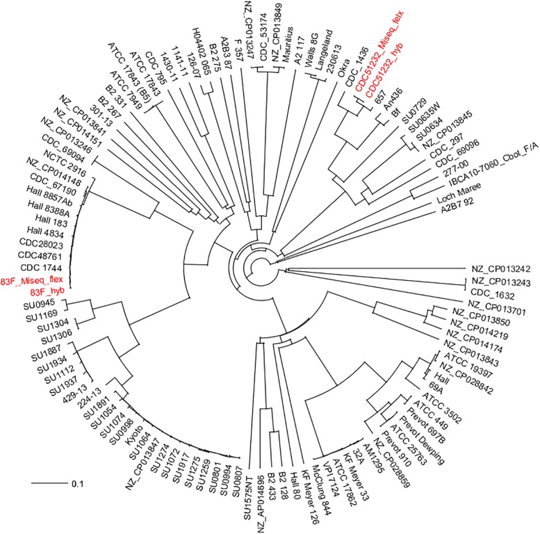 FIGURE 2