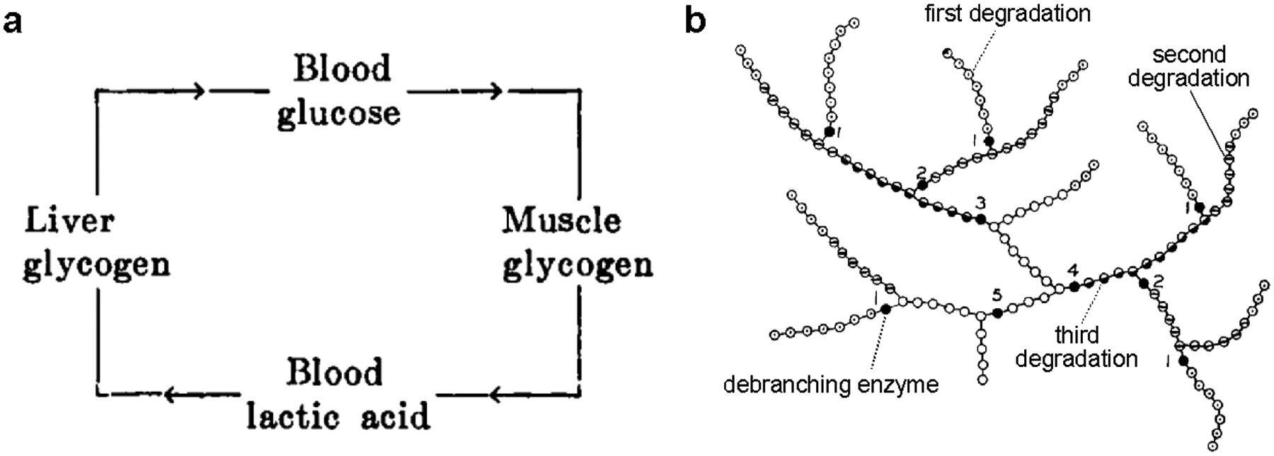 Figure 2.3