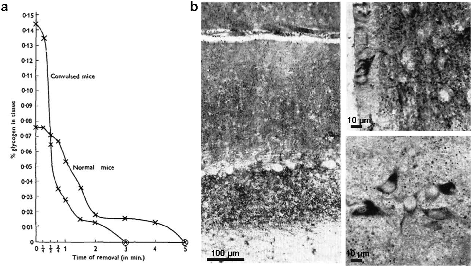 Fig. 2.4