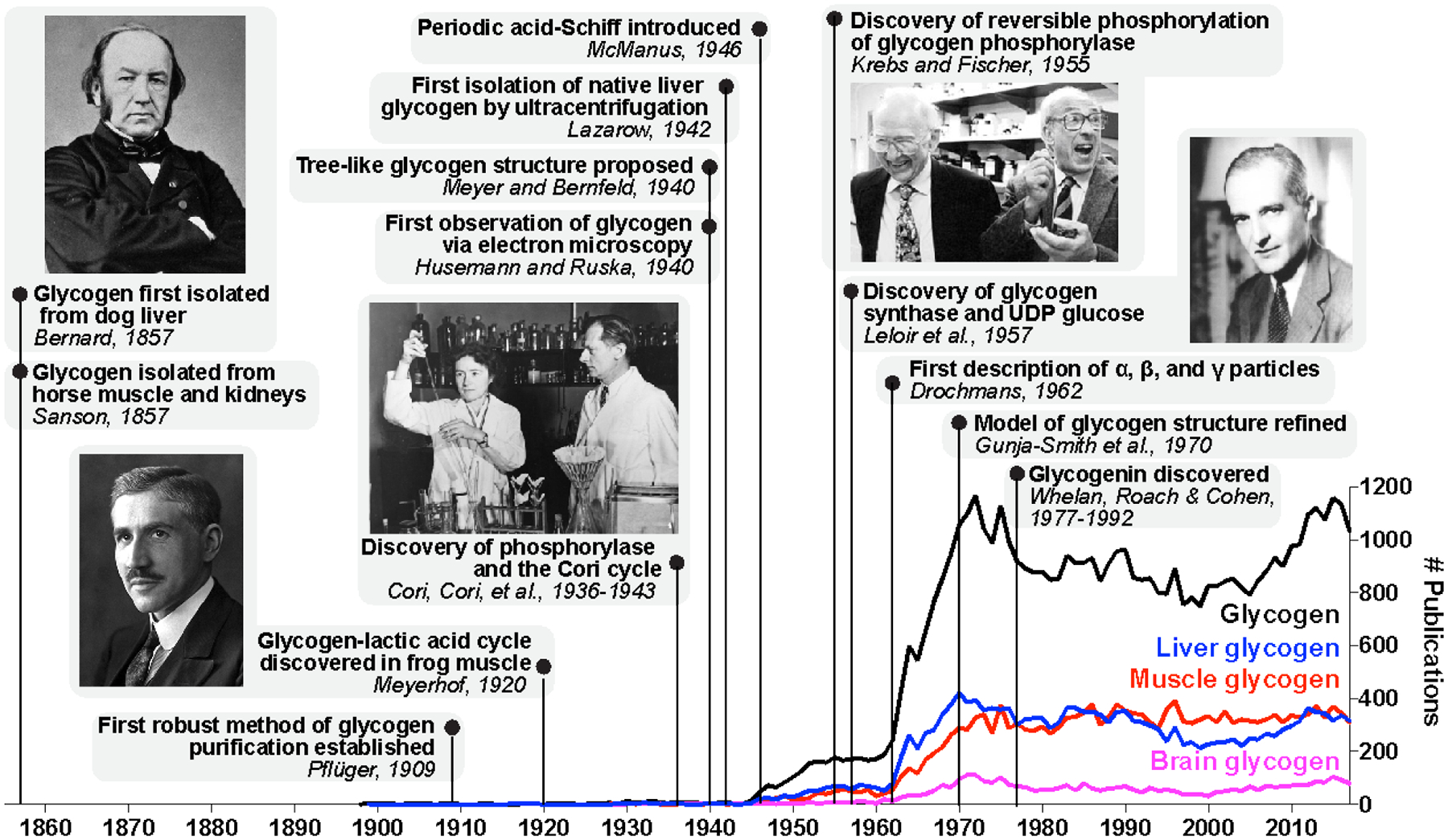 Figure 2.1