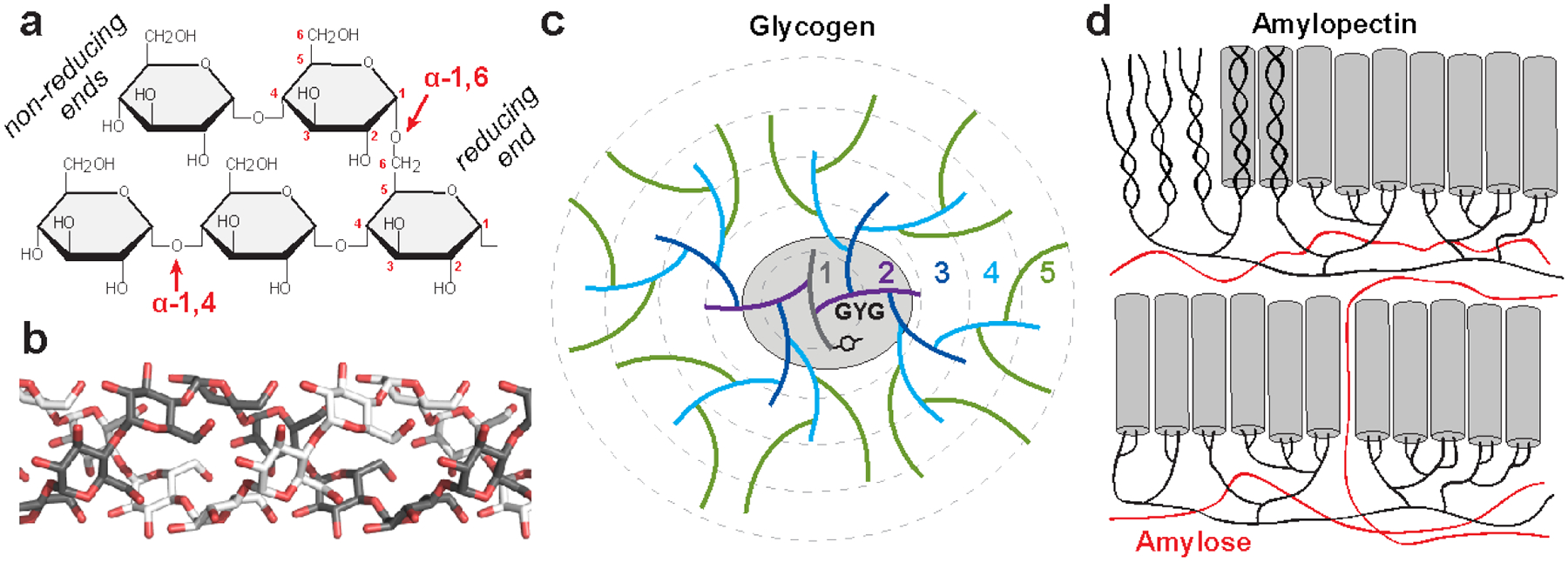 Fig. 2.6