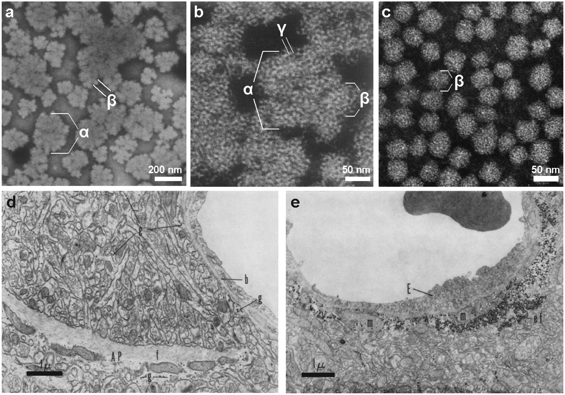 Fig. 2.5