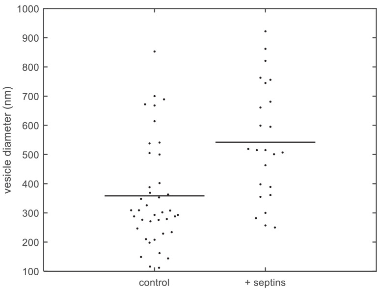 Figure 4—figure supplement 3.