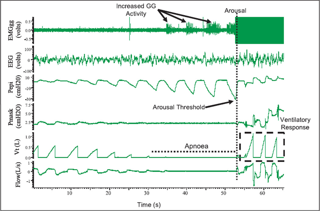 Fig. 3