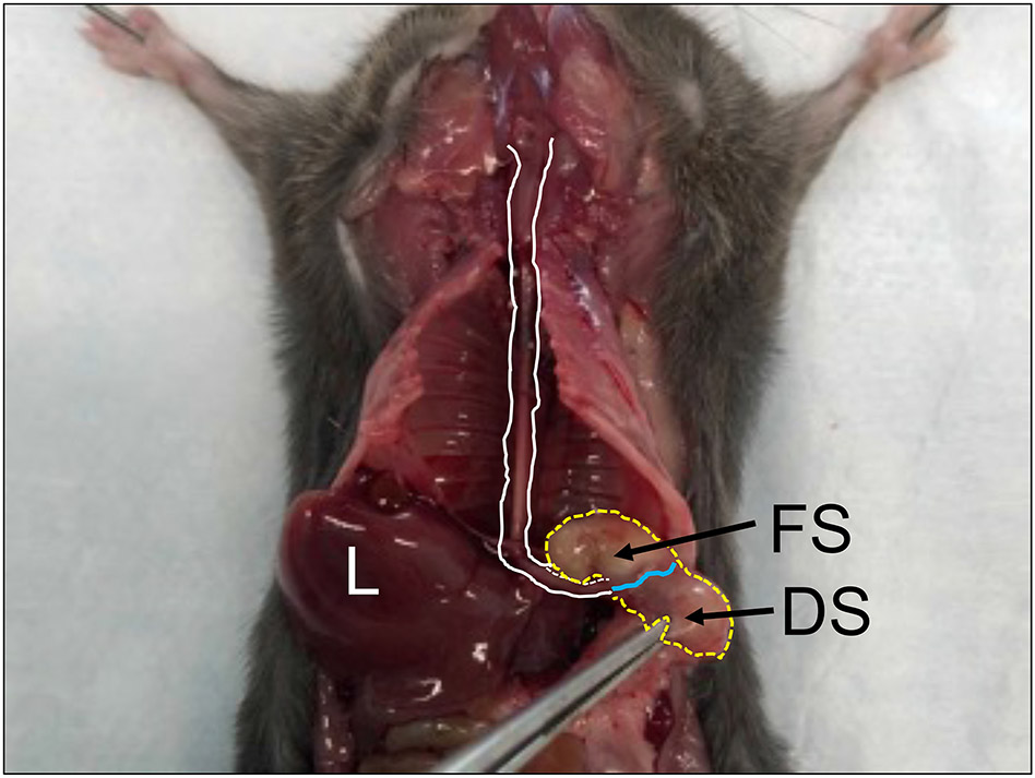 Figure 3: