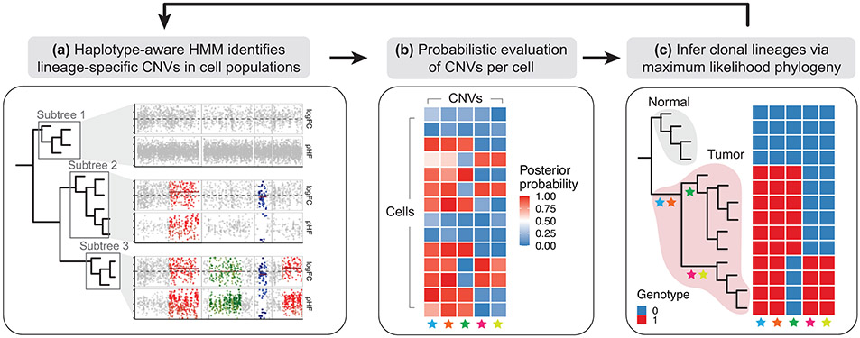 Figure 3: