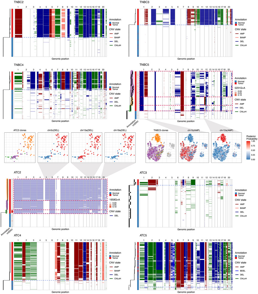 Extended Data Fig. 10