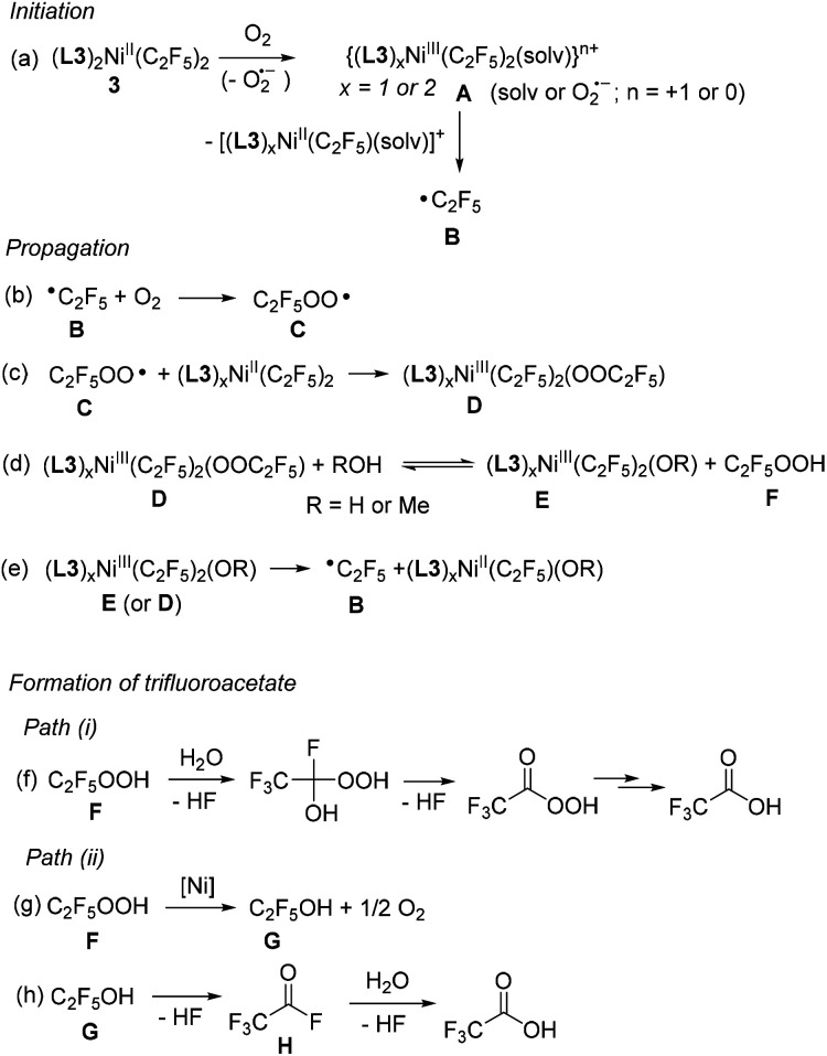 Scheme 6