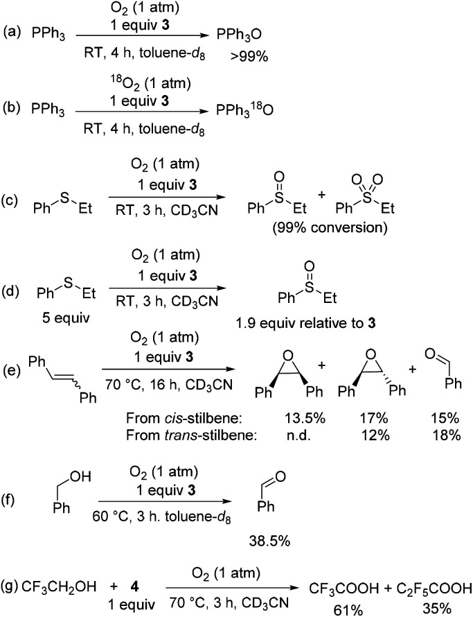 Scheme 5