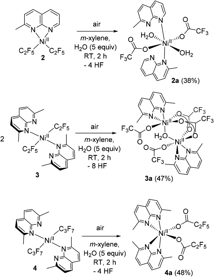 Scheme 3