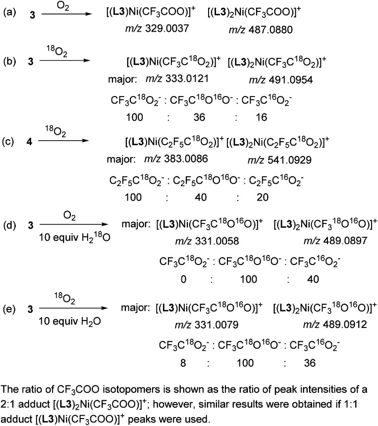 Scheme 4