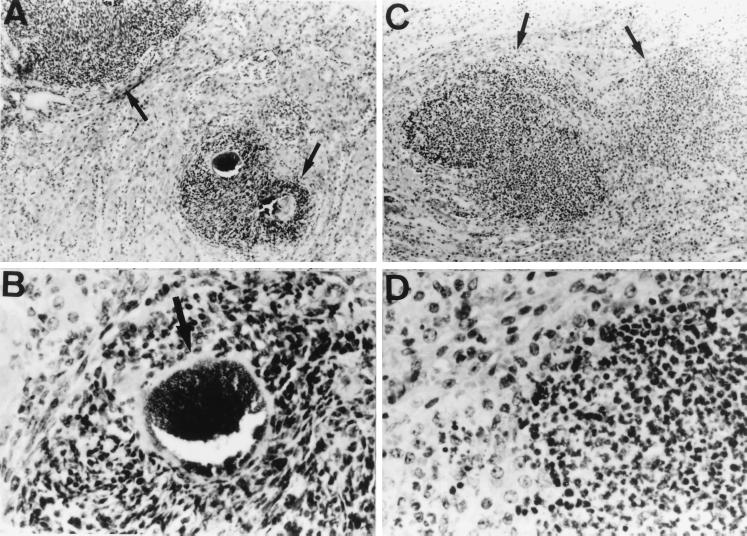 FIG. 7