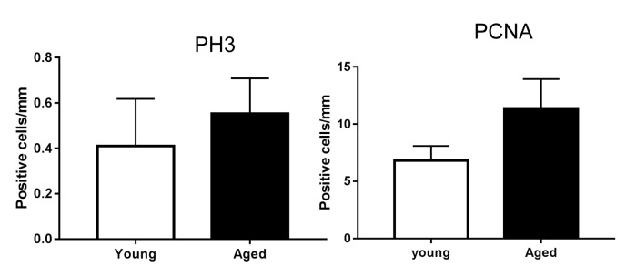 Figure 4—figure supplement 2.