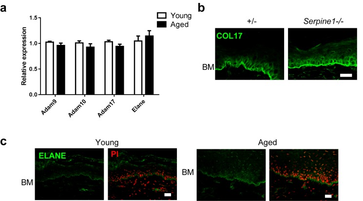 Figure 4—figure supplement 5.