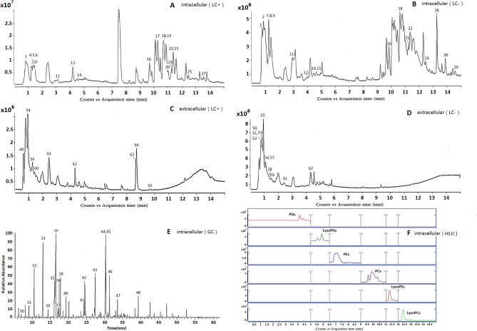 Fig 2