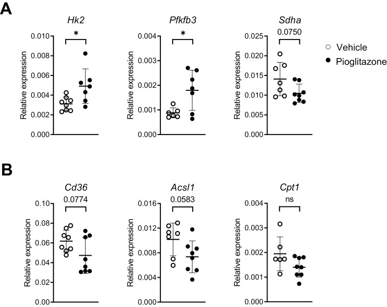 Figure 4: