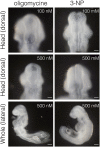 FIGURE 3