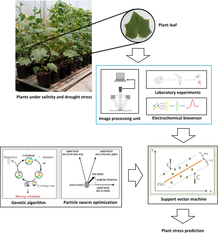 Machine learning provides specific detection of salt and drought ...