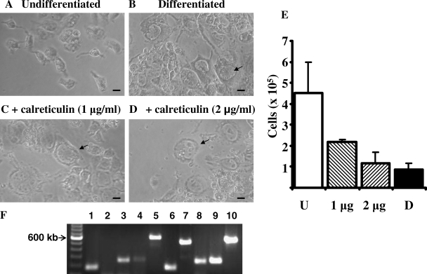 Figure 5