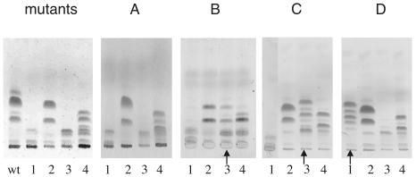 FIG. 5.