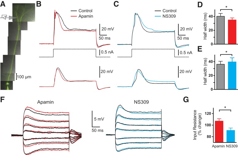 Figure 7.