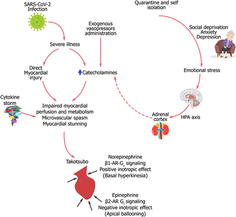 Image, graphical abstract