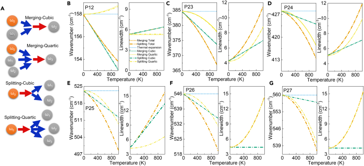 Figure 5