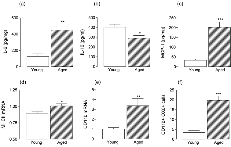 Figure 2: