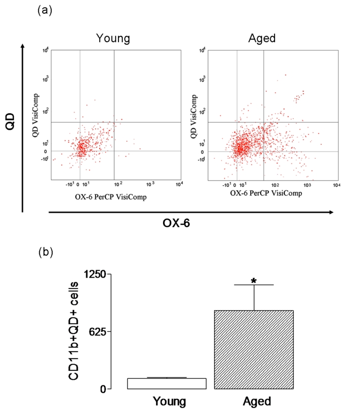 Figure 3: