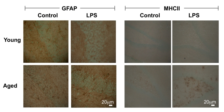 Figure 4: