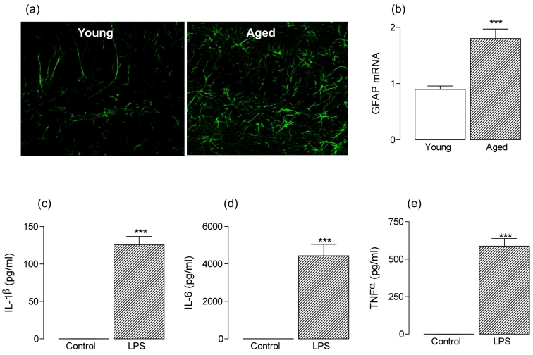 Figure 1: