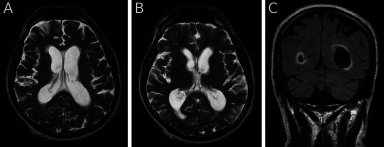 Figure 1