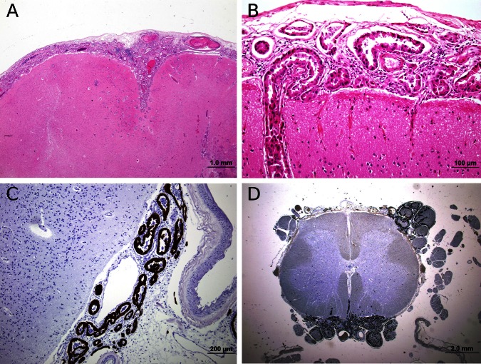 Figure 5