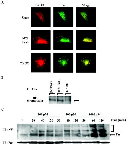 FIG. 6.