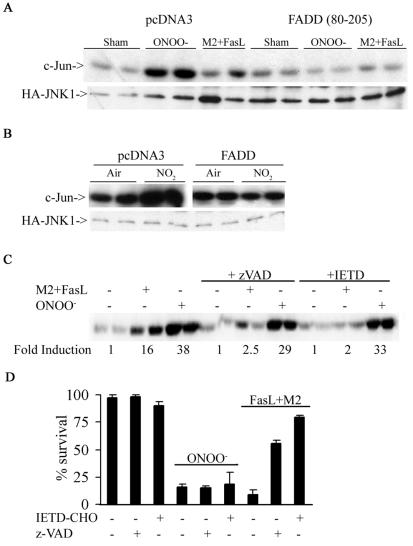 FIG. 5.