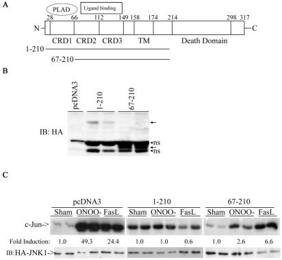 FIG. 7.