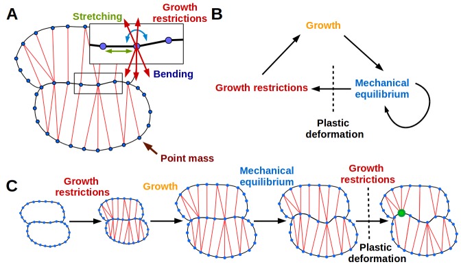 Figure 2.