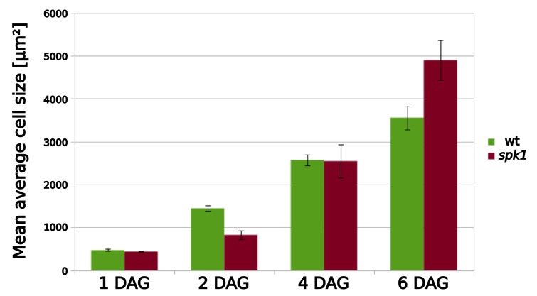 Figure 5—figure supplement 3.