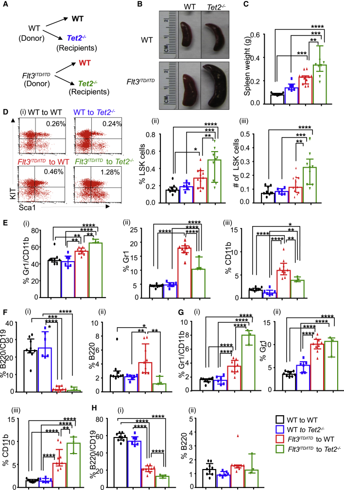 Figure 6